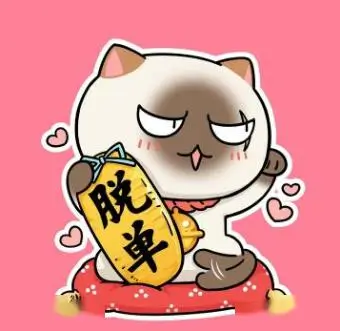 读者 纸飞机 的头像